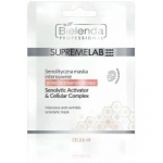 Bielenda Professional SupremeLab kortse v&auml;hendav lehtmask - 1 tk.