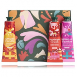 The Body Shop Lip Care rinkinys lūpoms ( - Komplekt