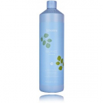 Echosline Balance Purifying Shampoo s&uuml;gavpuhastav &scaron;ampoon k&otilde;&otilde;ma vastu - 1000 ml.