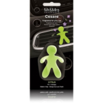 Mr & Mrs Fragrance Cesare Citrus auto &otilde;huv&auml;rskendaja