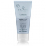 Paul Mitchell Awapuhi Wild Ginger Hydrate Hydrasoft Shampoo siluv &scaron;ampoon juustele - 75 ml.