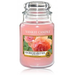 Yankee Candle Sun-Drenched Apricot Rose l&otilde;hnak&uuml;&uuml;nal - 623 g.