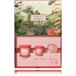 Payot Roselift komplekt n&auml;ole (kreem + silmakreem + kvartskivi) - Komplekt