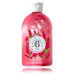 Roger & Gallet Gingembre Rouge Shower Gel du&scaron;igeel naistele - 500 ml.