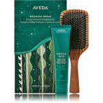 Aveda Botanical Repair komplekt juustele (vormiv kreem juustele 150 ml + juuksehari) - 1 tk.