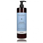 Artego Rain Dance Color Shampoo &scaron;ampoon v&auml;rvitud juustele - 1000 ml.