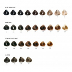 Inebrya Color professionaalsed juuksev&auml;rvid 100 ml. - 9/42 Very Light Cognac Blond