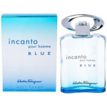 Salvatore Ferragamo Incanto pour Homme Blue 100 ml EDT meestele
