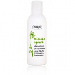 Ziaja Cucumber meigieemalduspiim - 200 ml.