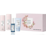 Goldwell Kerasilk juuksehoolduskomplekt (75 ml &scaron;ampoon + 75 ml palsam + 50 ml sprei + 50 ml mask) - 1 tk.