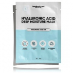 Breakout+Aid Hyaluronic Acid Deep Moisture Mask lehtn&auml;omask - 34 g.