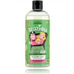 Joanne Rodzink 2in1 Aloe &scaron;ampoon ja du&scaron;igeel - 400 ml.