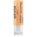 Weleda Everon SPF4 huulepalsam - 4.8 g.