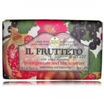 Nesti Dante IL Frutteto Pomegranate And Blackcurrant looduslik seep - 250 g.