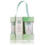 Accentra Aloe Vera Home Spa komplekt (k&auml;te- ja k&uuml;&uuml;nekreem 30 ml + huulepalsam 3,5 g) - 1 tk.