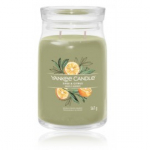 Yankee Candle Signature Collection Sage & Citrus l&otilde;hnak&uuml;&uuml;nal - 567 g.
