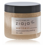 Ziaja Baltic Home Spa Wellness kehakoorija - 300 ml.