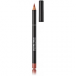 Rimmel Lasting Finish Lip Pencil huulepliiats - 110 Spice