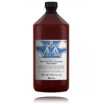 Davines Naturaltech Rebalancing Cleansing Treatment puhastusvahend rasusele peanahale - 1000 ml.