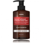 Kundal Anti-Hair Loss Shampoo with Caffeine Natural Caffeine & Intensive Scalp Care+ Cherry Blossom juukse&scaron;ampoon - 500 ml.