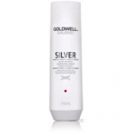 Goldwell Dualsenses Silver h&otilde;be&scaron;ampoon blondidele juustele - 250 ml.