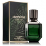Roberto Cavalli Paradise Found For Men EDT meestele - 50 ml.