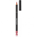 Rimmel Lasting Finish Lip Pencil huulepliiats - 120 Pink Candy