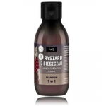 LaQ Ryszard Z Bieszczad 1in1 k&otilde;&otilde;mavastane &scaron;ampoon meestele - 100 ml.
