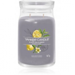 Yankee Candle Black Tea & Lemon l&otilde;hnak&uuml;&uuml;nal - 567 g.
