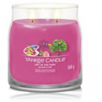 Yankee Candle Signature Collection Art In The Park l&otilde;hnak&uuml;&uuml;nal - 368 g.