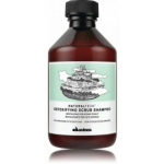 Davines NaturalTech Detoxifying Scrub Shampoo kooriva toimega puhastav &scaron;ampoon - 250 ml.