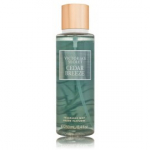 Victoria's Secret Cedar Breeze l&otilde;hnastatud kehaudu naistele - 250 ml.