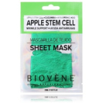 Biovene Apple Stem Cell kortsudevastane n&auml;omask - 20 ml.