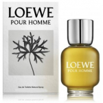 Loewe Pour Homme EDT meestele - 100 ml.