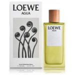 Loewe Agua de Loewe EDT naistele - 100 ml.