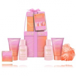 Baylis & Harding Signature Collection komplekt (vannisool + kreem + vaht + pesuvahend + koorija + k&auml;sn) - Komplekt