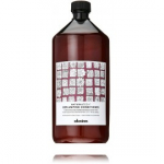 Davines NaturalTech Replumping Conditioner elastsust ja niiskust andev palsam - 1000 ml.