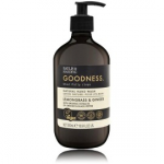 Baylis & Harding Goodness Lemongrass & Ginger Hand Wash - 500 ml.