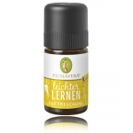 Primavera Fragrance Blend Focus & Learn Kids eeterlik &otilde;li - 5 ml.