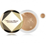 Pierre Rene Professional Illuminating Powder kirgastav tolmpuuder - 02 Royal Dusk