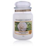 Yankee Candle Camellia Blossom l&otilde;hnak&uuml;&uuml;nal - 623 g.