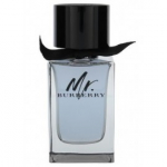 Burberry Mr. Burberry EDT meestele - 100 ml.