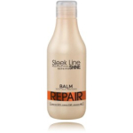 Stapiz Sleek Line Repair taastav palsam - 300 ml.