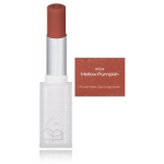 BOM Beauty of Majesty Cloud Blur Lipstick lengvi matiniai lūpų dažai - 04 Soft Pumpkin