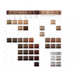 Schwarzkopf Professional IGORA Royal Absolutes professionaalne juuksev&auml;rv 60 ml - 4-60 - Medium Brown Chocolate Natural