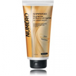 Brelil Professional Numero Nourishing &scaron;ampoon kuivadele juustele - 300 ml.