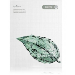 Isntree Mugwort Calming Tissue Mask rahustav lehtmask - 10 x 23 ml.