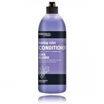 Prosalon Cool Blonde Conditioner palsam blondidele juustele - 500 g.