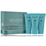 Wellness Premium Products Deep Hydrating Mini Set juuksehoolduskomplekt (mask 50 ml + &scaron;ampoon 50 ml + palsam 50 ml) - 1 tk.