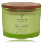 Chesapeake Bay Mind & Body Awaken + Invigorate Lemongrass Eucalyptus l&otilde;hnak&uuml;&uuml;nal - 312 g.